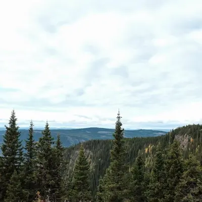 a group of trees on top of a mountain at Cozy apartment in Hafjell - Øyer centre in Hafjell