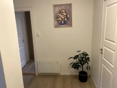 a hallway with a plant and a picture on the wall at Lovely 2 bedroom apartmen with free parking in Bergen