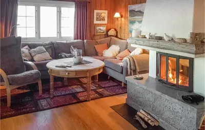 a living room with a couch and a fireplace at 3 Bedroom Lovely Home In Beitostølen in Beitostøl