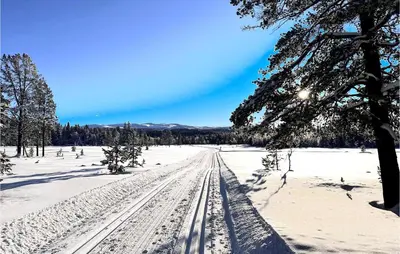 a snow covered field with tracks in the snow at Lovely Apartment In Tisleidalen in Golsfjellet