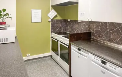 a kitchen with white appliances and green walls at Lovely Apartment In Tisleidalen in Golsfjellet