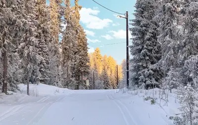 a snow covered road with trees and a light pole at Cozy Apartment In Gol With Wifi in Gol