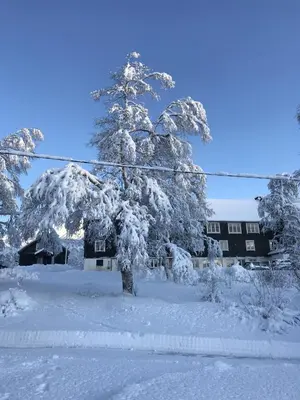 a tree covered in snow in front of a house at Kårdal Fjellstove in Mjølfjell