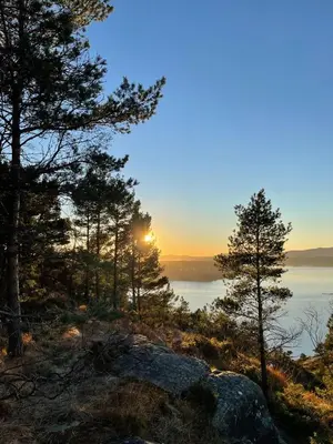 a sunset over the water with trees on a hill at Apartments Bergen with sea view! in Bergen