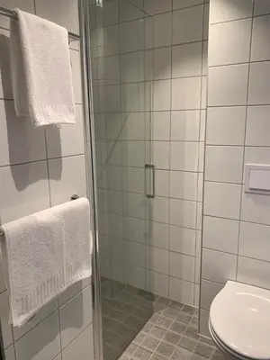 a bathroom with a shower and a toilet at Sitla Hotel & Apartments in Øvre Årdal