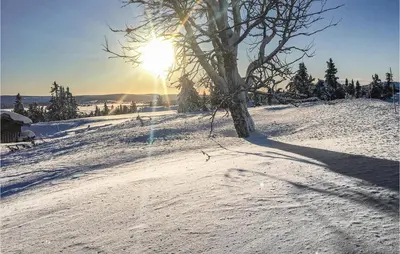 a tree on a snowy hill with the sun in the background at 2 Bedroom Awesome Home In Lillehammer in Lillehammer