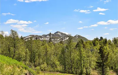 a mountain in the distance with trees in the foreground at Awesome Apartment In Rauland With Sauna in Rauland