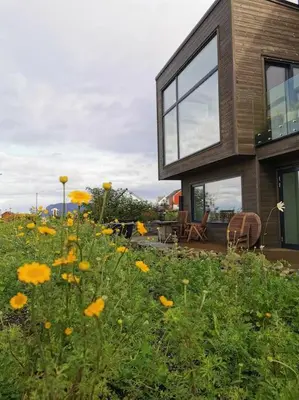 a house with a field of flowers in front of it at Beach front appartments in design eco-villa in Ulsteinvik