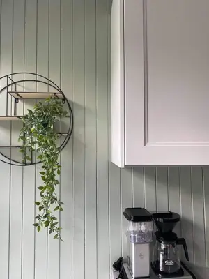 a plant on a wall next to a kitchen counter at Valldal Sentrum Overnatting in Valldal