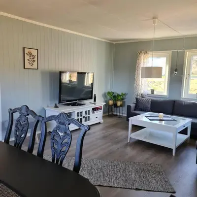 a living room with a couch and a tv at Koselig hus med hage i Herøy på Sunnmøre. in Røyra