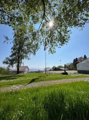 a field of grass with a tree and a flag at Moldegaard Farmhouse - Apartment C in Moldegard