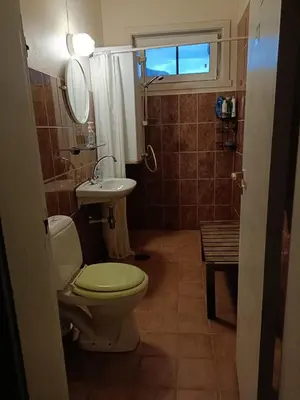 a bathroom with a toilet and a sink at Fjordshelter dorm in Tysso