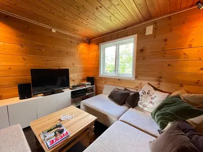 a living room with a couch and a tv at Baybu - cabin close Geilo Skisenter and the center of Geilo in Geilo
