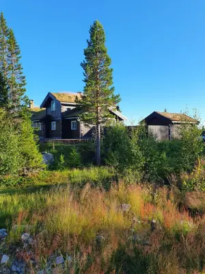 a house on a hill with a tree in the foreground at Luxurious, well-Equipped and modern Cabin by the Cross-Country Ski Trails in Eggedal