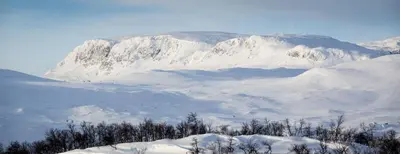 a mountain covered in snow with trees in the foreground at Spacious and beautiful apartment in Geilo, mountain retreat with view! in Geilo