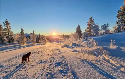 a dog walking down a snow covered road with the sunset at 5 Bedroom Gorgeous Home In Tynset in Tynset