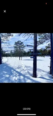 a picture of a snow covered field with trees at Bjorli Apartment with everything, 150m from ski lift in Bjorli
