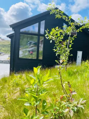 a small black house in a field of grass at Hodlekvevegen 308 - Flott hytte midt i skisenteret in Sogndal