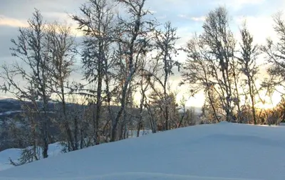 a pile of snow on a hill with trees at Grindastugu cabin right by Liatoppen Ski Centre. in Ål