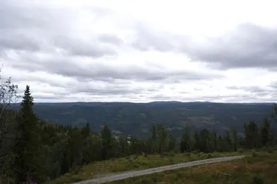 a dirt road on top of a hill with trees at Grindastugu cabin right by Liatoppen Ski Centre. in Ål