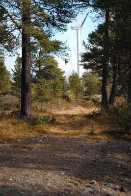 a windmill in the middle of a field with trees at Lusæter Timber Cabins in Heidal