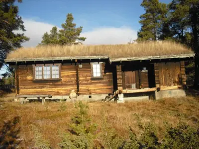 a log cabin with a grass roof at Lusæter Timber Cabins in Heidal