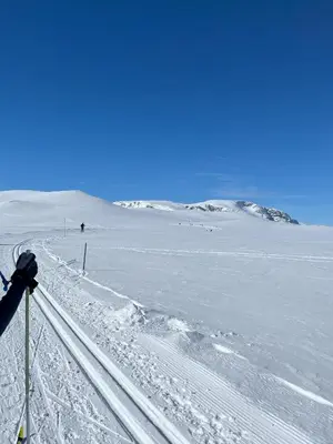 a person on skis standing on a snow covered slope at Cozy family friendly cabin at beautiful location! in Geilo