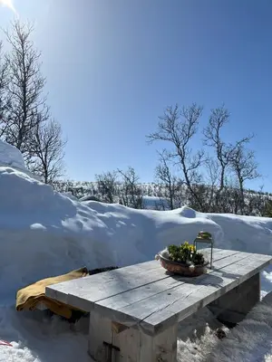 a wooden table in the snow with a bowl of flowers at Cozy family friendly cabin at beautiful location! in Geilo