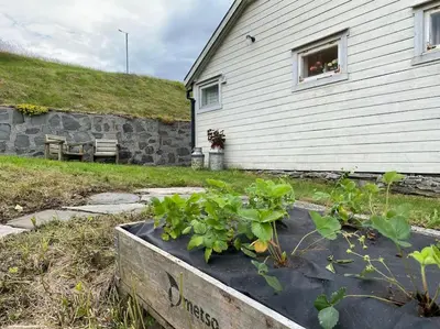 a garden with plants in a box in front of a house at Feriehus i landlige område med nydelig utsikt in Leirvik