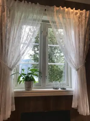 a window with a potted plant on a window sill at The Olav-house from 1840, at farm Ellingbø in Vang I Valdres