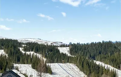 a ski slope with snow and trees on a mountain at Pet Friendly Home In Trysil With Wifi in Trysil