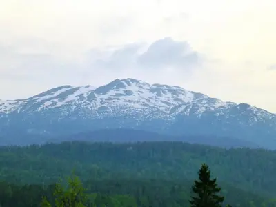 a mountain covered in snow with trees in front of it at Løvheim Gjestehus in Sauland