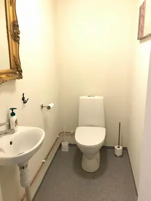 a bathroom with a white toilet and a sink at Nedre Stensgården in Røros