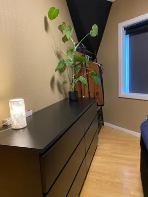 a black dresser with a plant on top of it at Leilighet med sydvendt balkong in Ålesund
