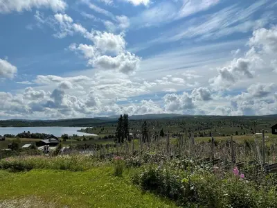 a view of a field of flowers and a lake at Snikkerplassen - cabin with amazing view and hiking opportunities in Sør-Fron