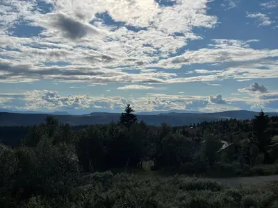 a view of a field with trees and a cloudy sky at Elveseter - log cabin with an amazing view in Venabygd