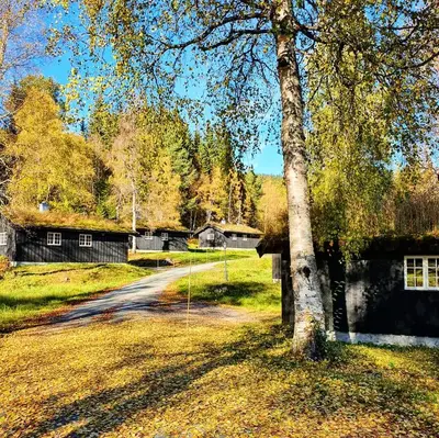 a tree in a field next to a house at Groven Camping & Hyttegrend in Åmot