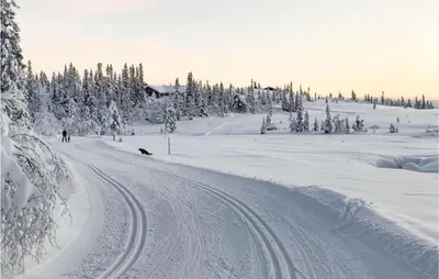a person is skiing down a snow covered slope at Lovely Home In Veggli With Kitchen in Veggli