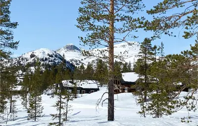 a snow covered mountain with trees in the foreground at 4 Bedroom Nice Home In Tuddal in Tuddal