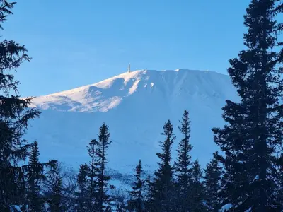 a snow covered mountain with trees in the foreground at Fin leilighet med flott utsikt til Gaustatoppen in Rjukan