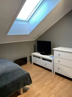 a bedroom with a bed and a tv and a skylight at Leilighet i Oppdal - 4 soverom, 2 stuer og 2 bad in Oppdal
