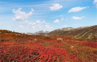 a red field with mountains in the background at Beautiful Home In Bjorli in Bjorli