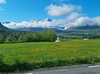 a field of flowers with mountains in the background at Kavli gjestehus - Isfjorden. in Isfjorden
