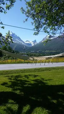 a shadow of a tree on a field with mountains at Kavli gjestehus - Isfjorden. in Isfjorden