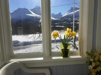 a window with a vase of flowers on a window sill at Kavli gjestehus - Isfjorden. in Isfjorden