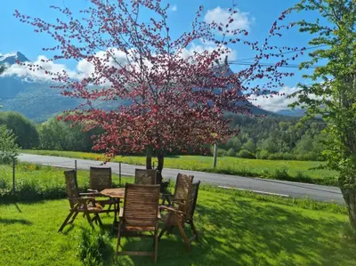 a table and chairs under a tree in the grass at Kavli gjestehus - Isfjorden. in Isfjorden
