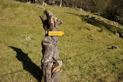 a wooden post with a sign on it in a field at Bregnehytte in Leikanger