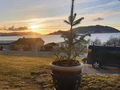 a christmas tree in a pot next to a van at 6 person holiday home in Åram-By Traum in Sandvik