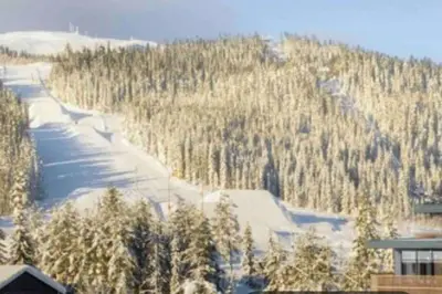 a snow covered mountain with trees and a ski slope at Topp studio leilighet Alpine Lodge in Trysil