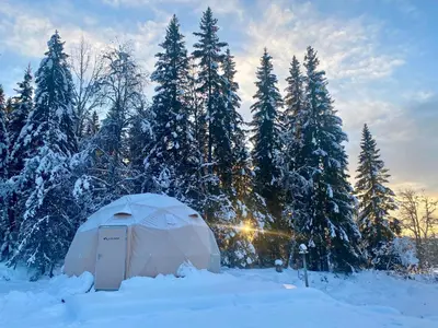 a tent in the snow in front of trees at Dome Glamping with shared bathroom in Lillehammer